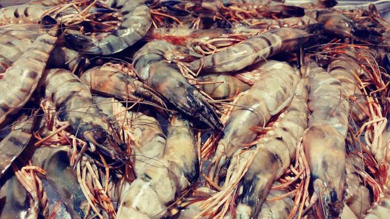 Seafood Night at Mosaic